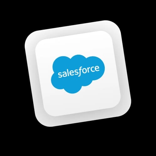 Salesforce Icon